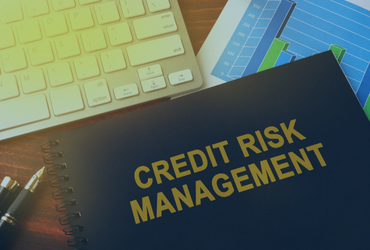 Credit Risk Management in Financial Institutions