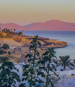 Sharm El-Sheikh - Egypt